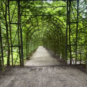 f0c0f509-83f3-436c-af76-a0ccecc56d57